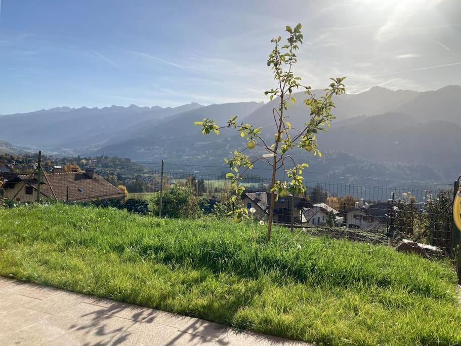 Casa Diaf Appartamento Incantevole Carano Ville Di Fiemme المظهر الخارجي الصورة